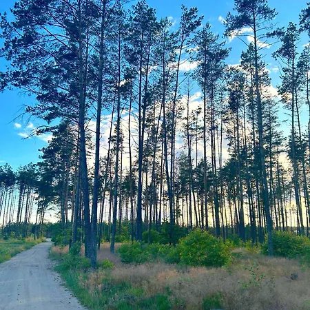 W * Ostrowite (Kartuzy)