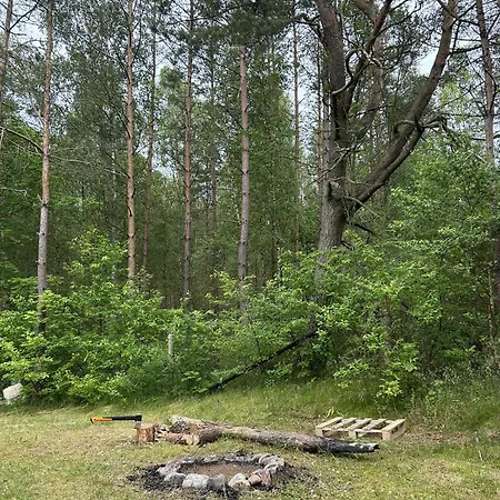 W Ostrowite (Kartuzy)