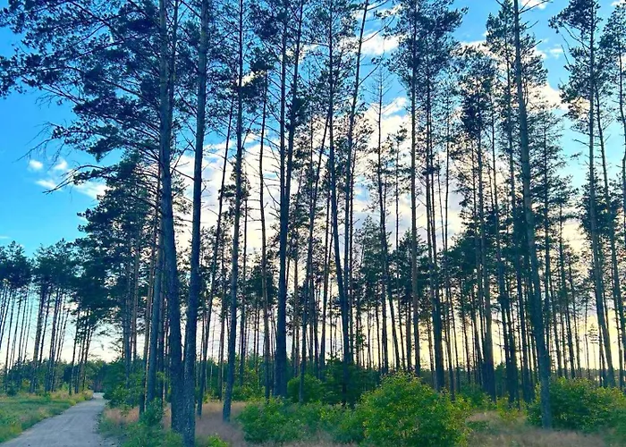 W * Ostrowite (Kartuzy)