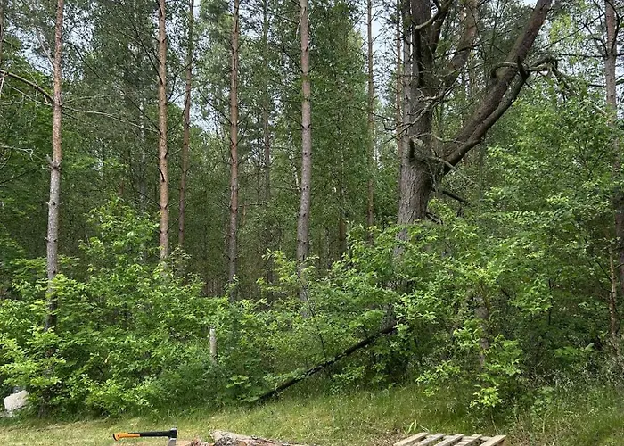 W Ostrowite (Kartuzy)